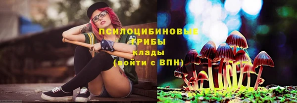 мет Гусев