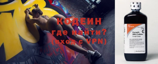 амф Гусиноозёрск