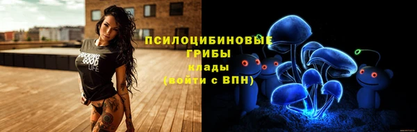 мет Гусев