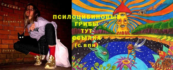 амф Гусиноозёрск