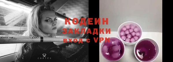 амф Гусиноозёрск