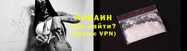 амф Гусиноозёрск