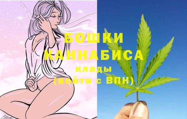 амф Гусиноозёрск