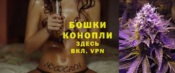 амф Гусиноозёрск