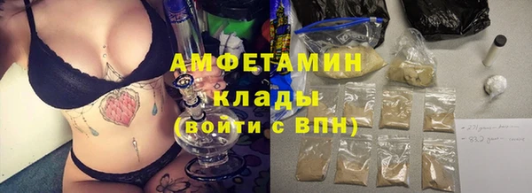 амф Гусиноозёрск