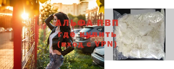 амф Гусиноозёрск